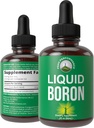 Liquid Boron Supplement miesten ja naisten. Mined in the USA. Vegan + Ionic Trace Mineral Drops korkea hyötyosuus Bone, yhteinen terveys. Nollasokeria, ei katkera makua. Boron Complex lisäravinteet