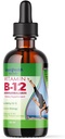 LIQUIDHEALTH Vitamin B12 Methylcobalamin Liquid Drops med sublingual Hydroxocobalamin - Boost Energy, Support Immune System, Förbättra minne och koncentration - Tillverkad i USA, Vegan, icke-GMO (2 oz)