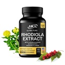 Rhodiola Rosea Supplement High Potency Extract 500mg - 3% Rosavins 1% Salidrosides med Ashwagandha Shisandra Passion Flower Herb Powder kapslar - Naturligt sätt att lindra stress - Piller för energi