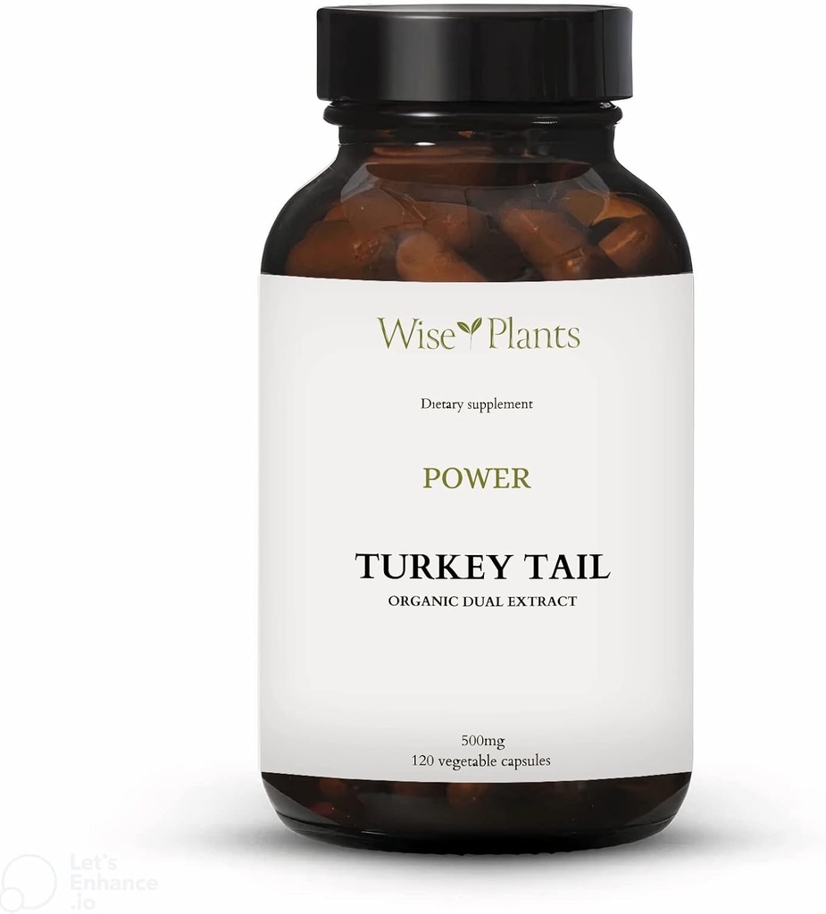 Turkey Tail Mushroom Supplement. Dual Extract, Pure Fruiting Body, 30% Polysaccharides, 500 mg, 120 vegecapia (60-päivä) Tukee tervettä Immuunitoimintoa