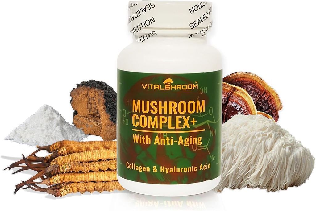 Mushroom komplex med anti-aging. Natural Mushroom-Based Anti-Aging Supplements with Chaga, Lion's Mane, Cordyceps, Reishi, Collagen, Hyaluronic Acid, Vitamins B1, B2, B6, C, D.