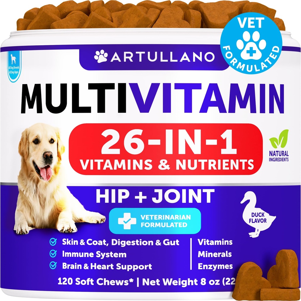 Koira Multivitamiini pureskeltava Glukosamiini 26 in 1 - koiran vitamiinit ja lisäravinteet - Senior & pentu monivitamiini koirille - Lemmikkieläinten yhteinen tuki Terveys - Immuniteetti, liikkuvuus, Gut Skin - 120 Chews