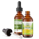 Potent & Organic Vegan Omega 3 Liquid Supplement: Bättre än fiskolja! Växtbaserat vatten Extracted Algae Oil-DHA EPA DPA fettsyror - Icke GMO- Stöder immun, hjärta, hjärna och gemensamma hälso-60 doser