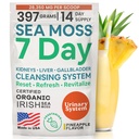 Atlantic Naturals Sea Moss 7 Day Detox Liver, Sappirakon ja munuaisten puhdistus - Tuki voikukka juuri, maito ohdake, Burdock juuri, punainen Clover, Chanca Piedra - Ananas Flavor Drink Mix (14 oz)