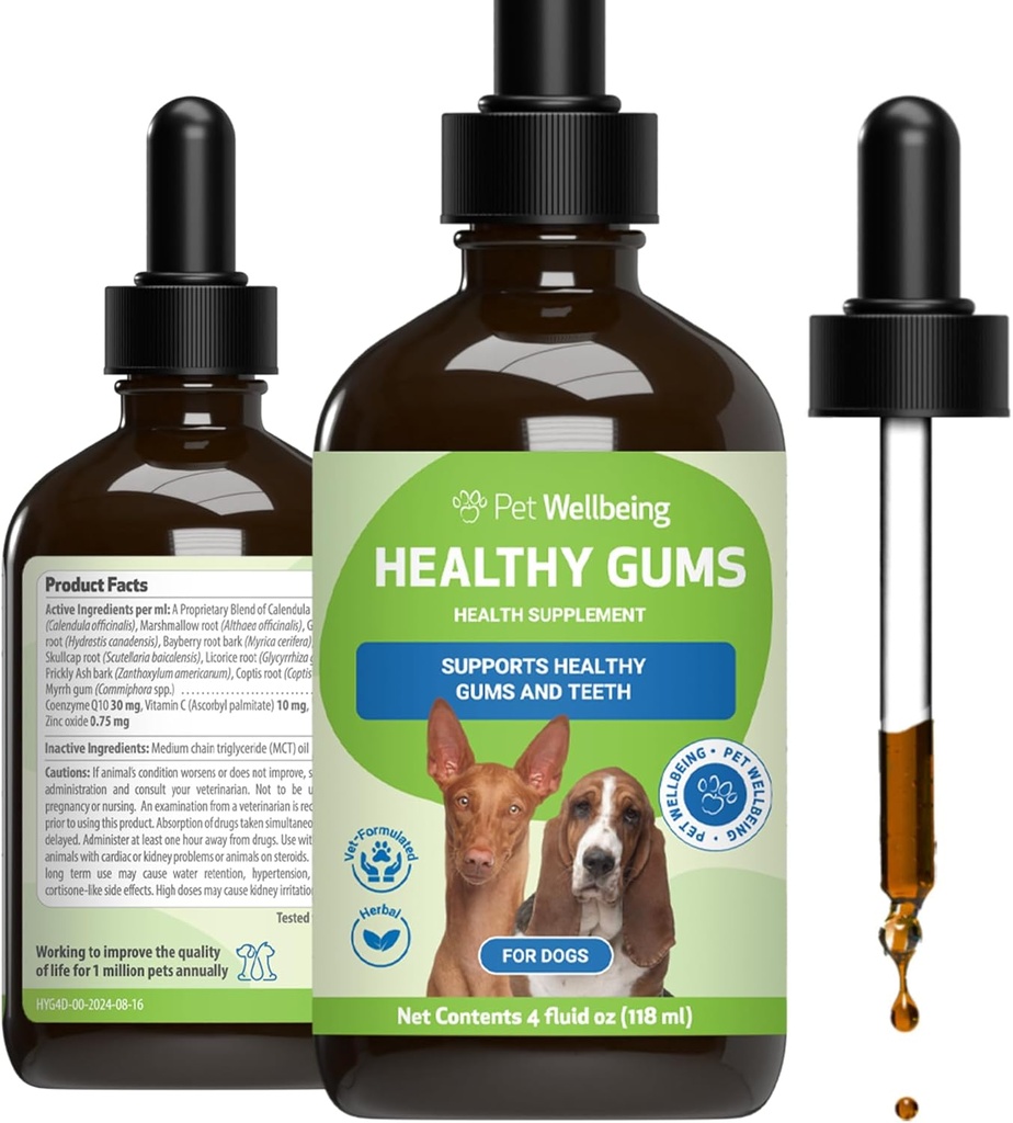 Lemmikki hyvinvointi Terveet Gums koirille - Gums & Dental Health, Oral Care, Terve hengitys, Coenzyme Q10, Sinkkioksidi, Calendula, vaahtokarkki juuri - Eläinlääkärin formuloitu kokonaisvaltainen 4 oz (118 ml)