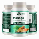 Moringa tabletteja Turmeric ja inkivääri, 300 pillereitä, 5 kuukauden tarjonta, 150 tarjoilu, 1000 Mg per tarjoilu. Yksi kapseli, jolla on useita etuja - tukee digestiivinen terveys(Pakki 1)