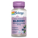 SOLARAY Bilberry Berry Extract 60 mg | Kraftfull Antioxidant | Hälsosam Vision & Circulation Support | 60 VegCaps