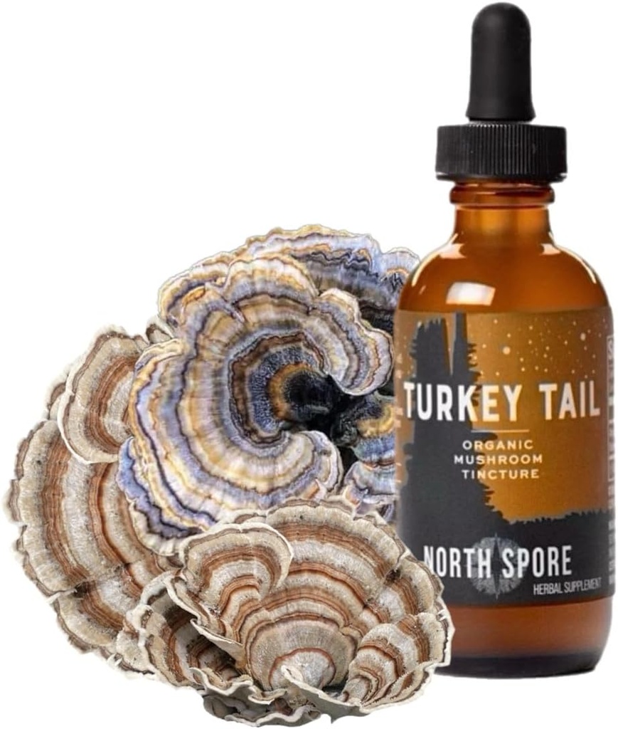 North Spore Organic Turkey Tail Tincture 
