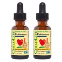 LAPSILIFE OLENNAISET Echinacea lapsille - Lapset Echinacea Drops, Liquid Tincture, Alkoholiton täydentää vauvoille, Toddlers, Children - Natural Orange, 1 Fl Oz (paketti 2)