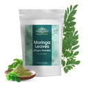 Moringa Lehdet Powder Oleifera Leaf Shigru Suuri juomia ja smoothies 16