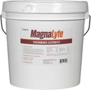 MagnaLyte Loose Salt and Electrolytes for Horses by Eagle Equine 