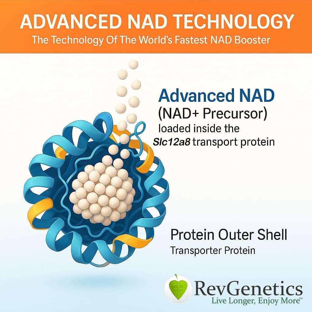 REVGENETICS Advanced NAD+ Supplement, 60 kapselia - Ravintolisä tervettä ikääntymistä ja pitkäikäisyyttä