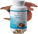 Sienitiede Reishi Sieni Kapselit, Super Strength Full Spectrum Extract, Natural Sienentä täydentää aikuisille, Kuuma vesi uutteita sieniä, terveystuki, kasvissyöjä, 400MG, 90 CT