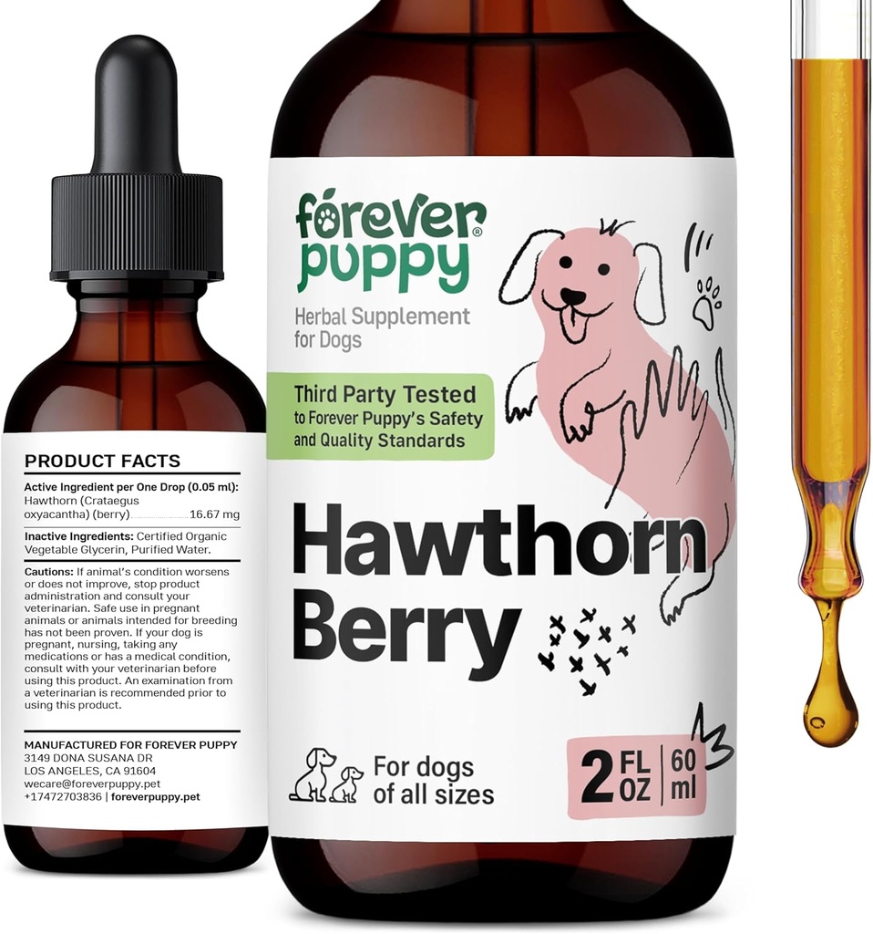 Ikuisesti koiranpentu Hawthorn Berry Drops koirille - Antioksidantti tuki Tincture koirille w/Hawthorn Berry - Liquid Heart Health Supplement Happy Lemmikkieläimet - Ei säilöntäaineita ja tekonurmi - 2 oz