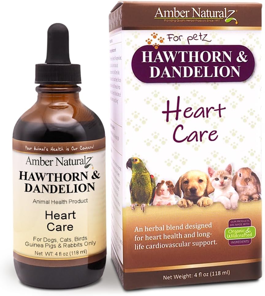 Amber NaturalZ Hawthorn & Dandelion Herbal Supplement för hundar, katter, fåglar, kaniner och Guinea grisar | Stöder hjärthälsa, cirkulation och flytande balans | Natural Cardiovascular Care