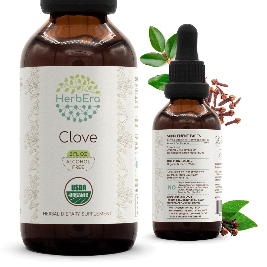 HerbEra Clove B60 USDA Organic Tincture | Alkoholfri Extract, High-Potency Herbal Drops, Immune System Health | Certified Organic Clove (Syzygium Aromaticum) Dried Flower Buds (2 fl oz)