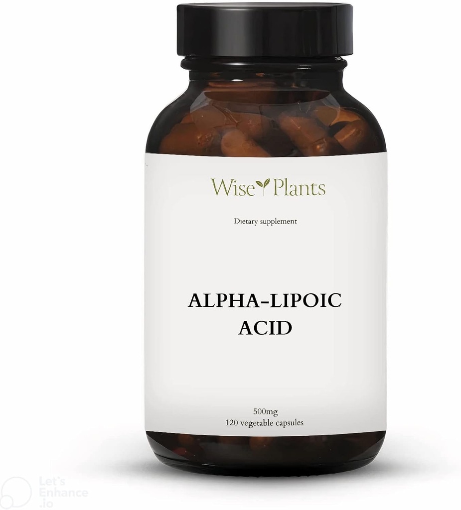 Alfa-lipoiinihappo - ei-GMO - 500 mg, 120 Tarjoilu (4 kuukautta toimitus), energiatasot, Mitokondriot tuki