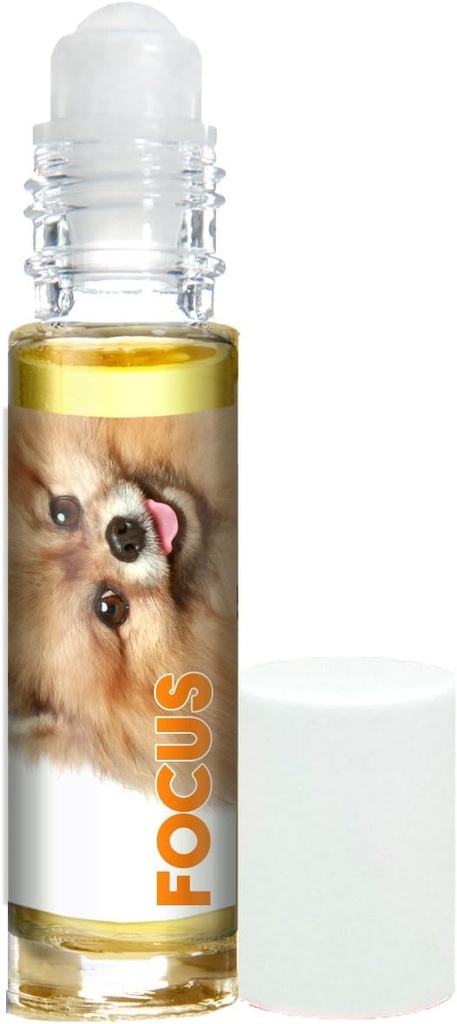 Autuas koira Papillon Focus koiran aromaterapia koiran keskittymistä