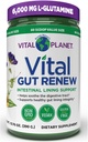 Vital Planet - Vital Gut Renew Powder Supplement för Leaky Gut Repair med L-Glutamin, Marshmallow och Ginger Root, DGL Licorice Root och Organic Aloe Vera, L Glutamine 6000mg 13,76 oz