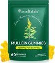 Mullein Gummies för Lung Cleanse,Natural Mullein för Lung Cleanse Support,Lung Cleanse för rökare,Mullein Herbal Supplements med klorofyll (60 Chews)