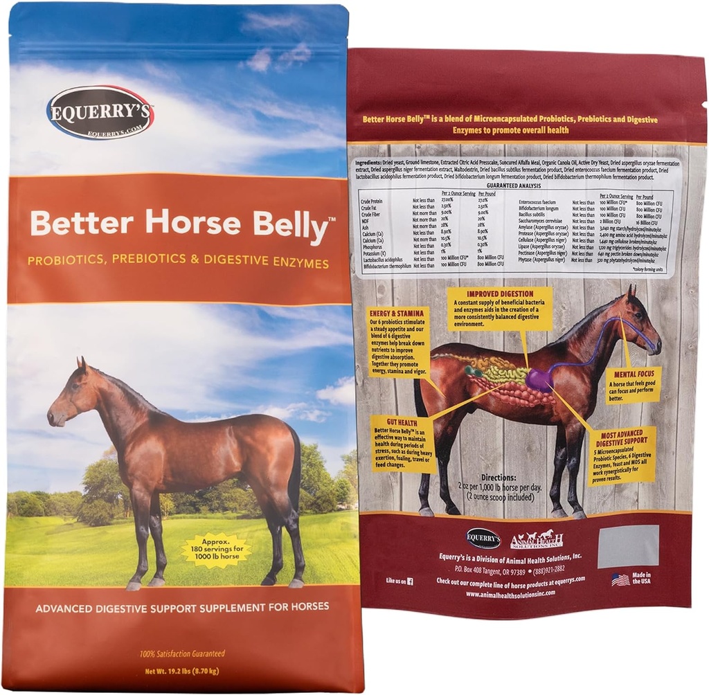 EQUERRY'S Better Horse Belly - Tillägg med Gut Support | Probiotika med prebiotika och Digestive Enzymes | för Colic, Digestive Upset - 19.2 LB