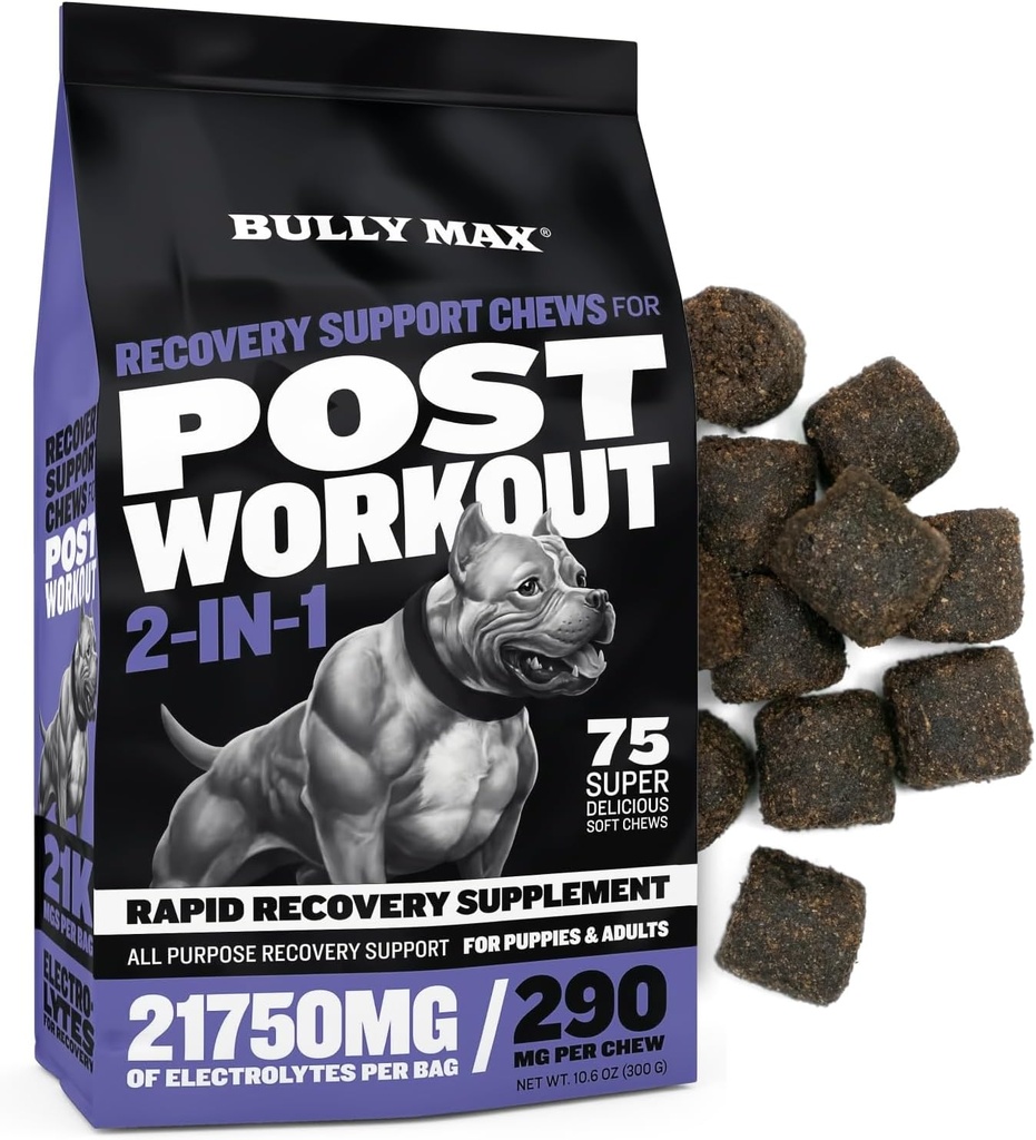 Bully Max 2-in-1 Post-Workout Recovery Support Chews - Koiran vitamiinit ja ravintolisä pienille ja suurille roduille - koiranpentu ja aikuisten koiran Hydraation & Electrolyte Replenishment - 75 pehmeä ja tasty Chews