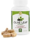 Olivbladextrakt - 500mg - Tillägg Standardiserat till 25% Oleuropein - 20% Hydroxytyrosol - 40% polyfenoler - Icke-GMO + Gluten Free + Dairy Free + Soy Free + Vegan (30 kapslar)