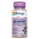 SOLARAY Mustikkauute 160 mg, silmien terveyden ja verenkierron tuki, 36% Anthosyanosidit Plus Mustikka, Vegaani, 30 VegCaps