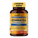 Sandhu Herbals Echinacea Goldenseal 1000 Mg 120 kapslar