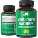 Mitochondria Maximizer med CoQ10 och Active PQQ. Bästa Mitochondrial Support Supplement med MCT Oil. Natural Cellular Generator för ren, fokuserad energi 60 Vegetariska kapslar