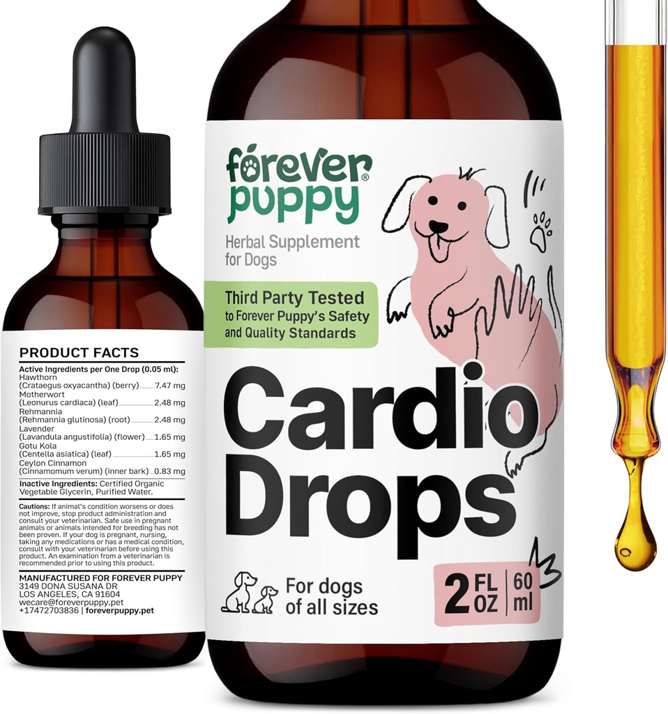 Ikuisesti koiranpentu Cardio Drops koirille - Hawthorn Berry & Motherwort Herb - Liquid Antioksidantti Supplement Gotu Kola Lehdet & Lavender Extract - 2 fl oz