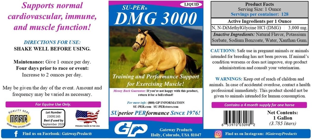 SU-PER DMG 3000 Horse Supplement - Koulutus ja suorituskyky Tukineste - Tukee normaali sydän- ja verisuonitautien Immuniteetti ja lihastoiminta - 1 Gallon, 4 kuukauden tarjonta