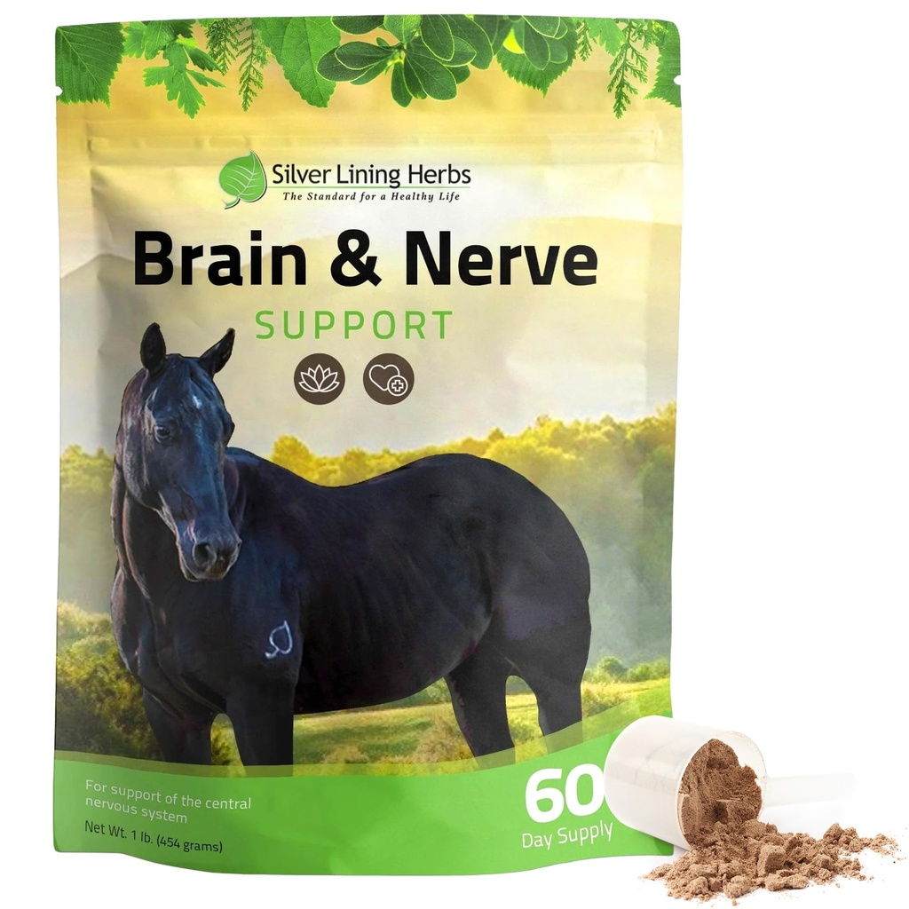 Silver Lining Yrtit Brain & Nerve Tuki täydentää hevosille - Hevonen täydentää keskittyä, mielenterveyden ja aivojen tuki - Sisältää kasviperäisten Blend Ginkgo, Gotu Kola, & enemmän - 1 lb 60-päivä