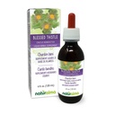 Naturalma Siunattu ohdake tai Pyhä ohdake (Cnicus benedictus) yrtti kukkia Alkoholiton Tincture - 4 fl oz Liquid Extract tippa - Kasviperäisten täydentää - Vegan