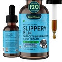 Animal Essentials Liukas jalava - Liukas jalava Bark Anti ripuli tihkurat koirille ja kissoille, luomu yrttiuute terveelle Gut, Ruoansulatus- ja kurkkutuki, auttaa Acid Reflux, Liquid Formula- 1 fl oz