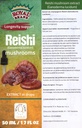 Reishi-sieni-lisäaine/Meidän Reishi-sieniuutemme edistää pitkäikäisyyttä/Reishi-sieni-tinktuuria - 50ml / 1.7 Fl Oz