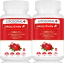 Liposomaalinen Urolithin A täydennysosa 2000MG energia 120 kapselia