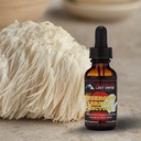 Kadonnut Empire Yrtit Mushroom Brain Spagyric Tincture ...