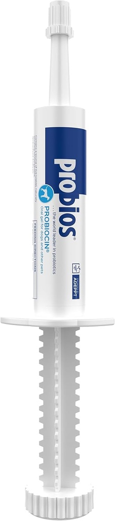 Probios Probiocin Oral Pet Gel för hundar och katter, Probiotiska Supplement för Digestive & Immune Support, 15 g Tube