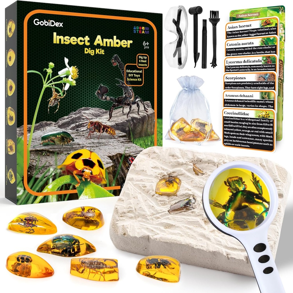 GobiDex Amber Dig Kit- Keinotekoinen Hyönteis Hartsi, Kaivaa 6 Hyönteisnäytteet, STEM Geographic Vikoja Lelut, Kaivaminen Lelut hauska ötökät Party Favors, Tiede Kits lapsille Ikä 6-8 8-12