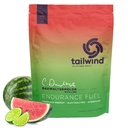 Perätuuli Ravitsemus Endurance Polttoaine, Hiilihydraatti ja Elektrolyytti Urheilu Drink Mix Powder, Gluteeniton, Vegan, Dauwaltermelon, 50 Tarjoilut