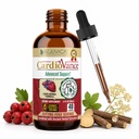 Rejuvica Health CardioVance - Heart Support Supplement - Nesteen toimitus parempaan imeytymiseen - Hawthorne, Hibiscus, Arjuna, Olive Leaf & More!