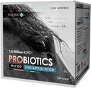 Mikrokapseloidut Probiootit hevosille - Premium Equine Dgestive Health Supplement
