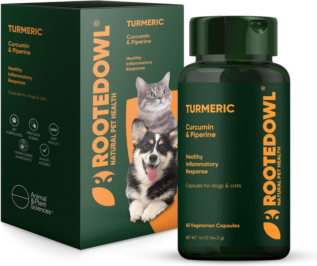 Rooted Owl Turmeric - Turmeric Supplement koirat ja kissat - kanssa Curcumin, Piperine ja C-vitamiini anti-inflammatorinen helpotus - 60/ct