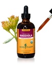 Herb Pharm Certified Organic Rhodiola Root Extract for Energy, Endurance and Stamina, Alkoholiton Glyseriitti, 4 Ounce