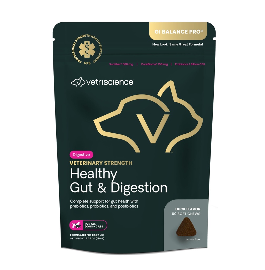 VetriScience Veterinary Strength Terve Gut & Digestion - Lemmikkieläinten digestiivinen terveys täydentää kissat & koirat - Gut Health & Immuuni tuki - Ominaisuudet Probiootit, Prebiootit & Postbiootit - 60