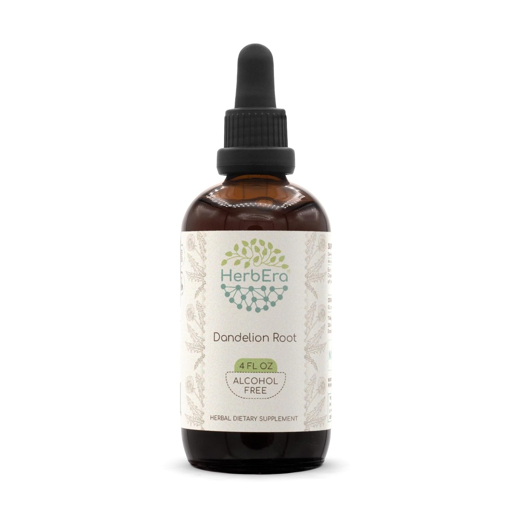 HerbEra Dandelion Root B120 Alkoholfri Herbal Extract Tincture, Super-Concentrated Dandelion (Taraxacum Officinale) Torkade Root (4 fl oz)