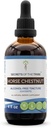 Hevosen, kastanjan, hevosen, kastanjan (Aesculus hippocastanum) kuivatun pähkinön (4 FL OZ) salaisuudet