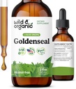 Wild & Organic Goldenseal Root Tincture - Lung Cleanse, Immuno & Dgestive Support - Liquid Goldenseal Supplement - Vegaani, sokeri & alkoholiton Herb Drops - 2 fl oz