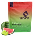 Myötätuuli Ravintoaine Endurance Fuel, Carbohydraatti ja Electrolyte Sports Drink Mix Powder, Gluteeniton, Vegan, Dauwaltermelon, 30 Tarjoilua